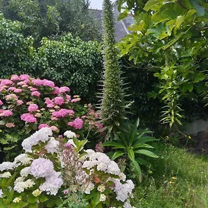  Hébergement de vacances Maison Avec Jardin Proche France